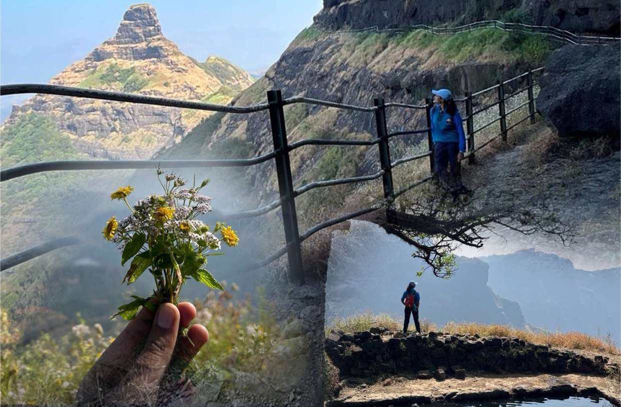 रतनगढ़ किला