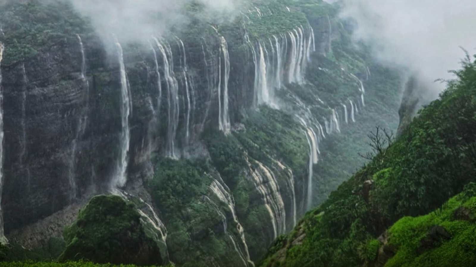 अंधारबन जंगल ट्रेक