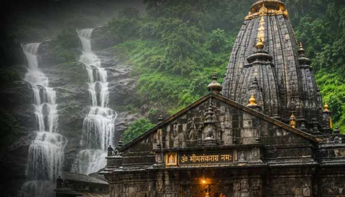भीमाशंकर ते भोरगिरी जंगल ट्रेल