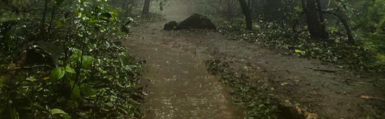 Aadrai Jungle Trek