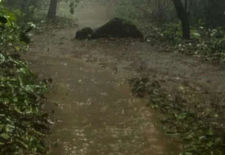Aadrai Jungle Trek
