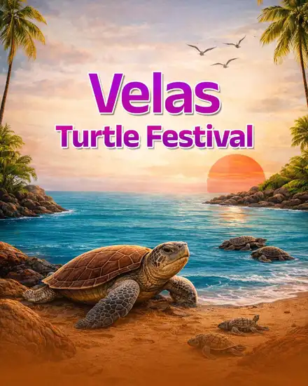 Velas Turtle Festival trek brochure poster